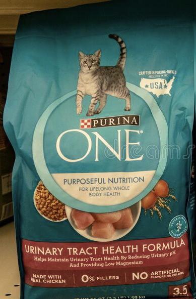 Purina one корм для кошек один из лучших кормов