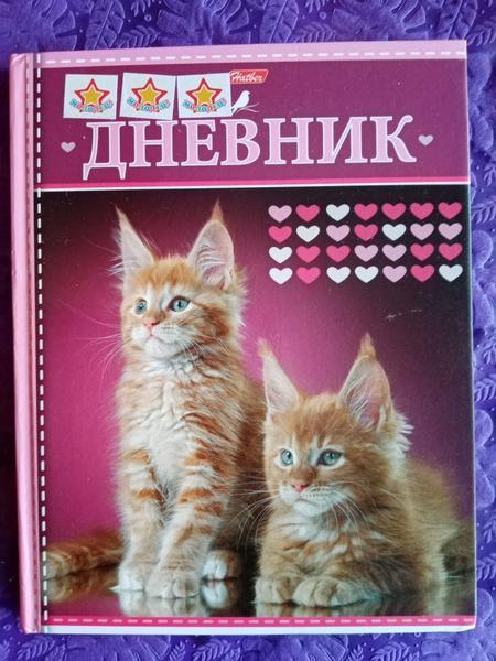 Хороший дневник.