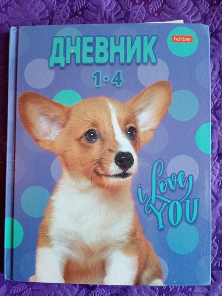 Хороший дневник.