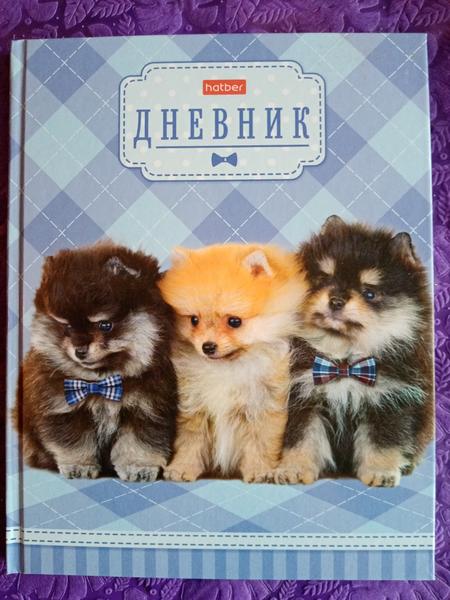 Хороший дневник.