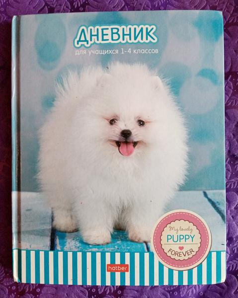 Хороший дневник.