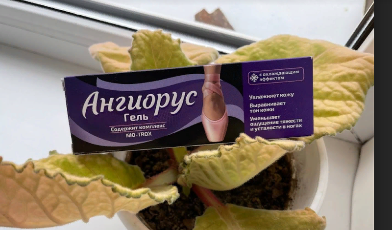 Рекомендую.