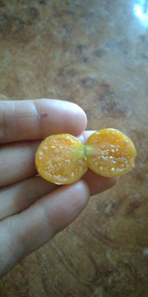 Удивительно вкусная и полезная ягода