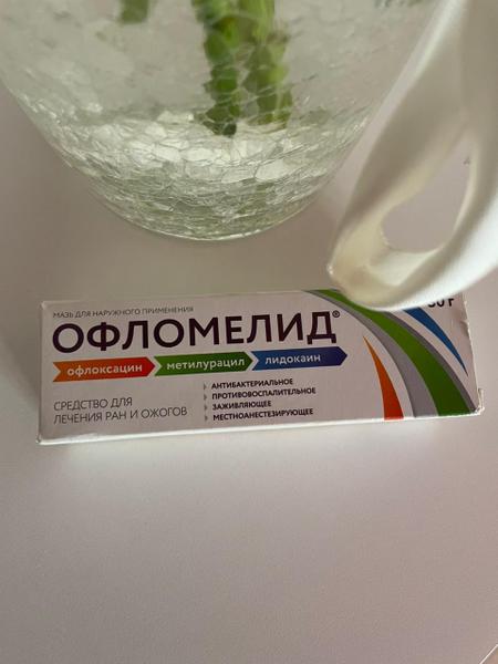 Универсальный помощник - Офломелид.
