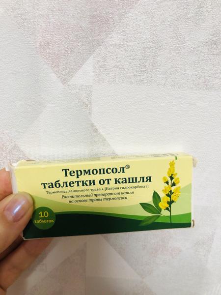 Мои впечатления о термопсоле