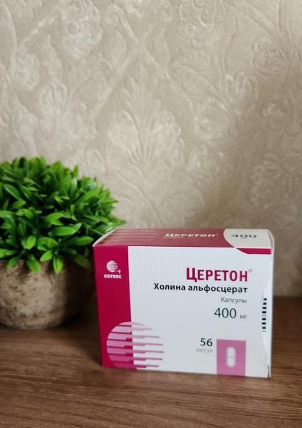 Церетон вернул меня к привычной жизни.