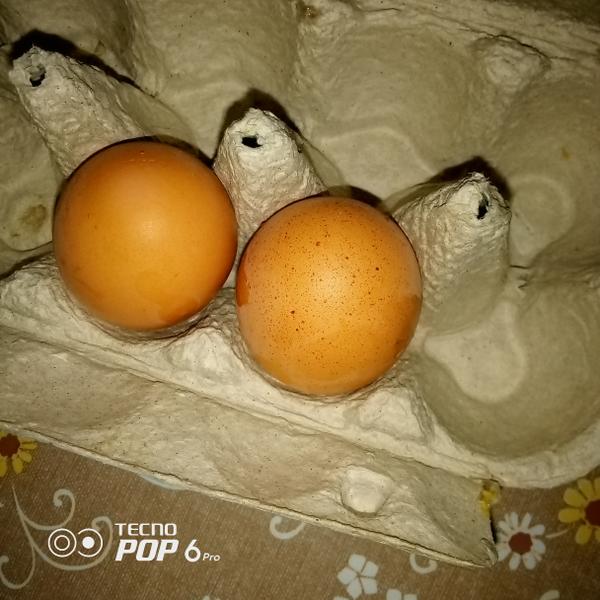 Вкусные