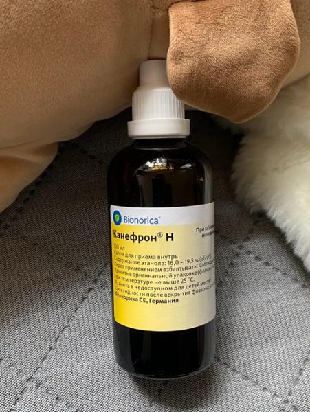 Канефрон Н (Canephron® N) — фото из отзыва «Цистит после свадьбы»
