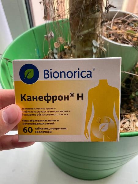 Канефрон Н Bionorica — фото из отзыва «Таблетки от цистита»