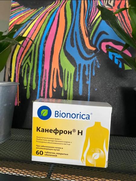 Канефрон Н Bionorica — фото из отзыва «Мне помогает сейчас при редких приступах пиелонефрита»