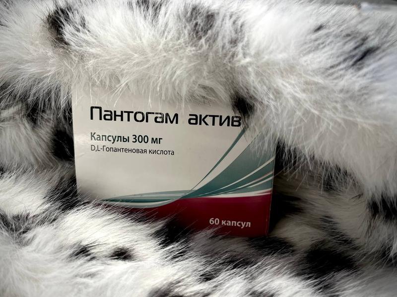 Средство, с которым я могу нормально и работать, и спать