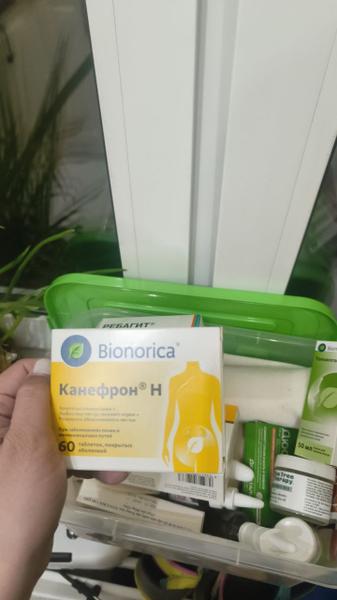 Цистит каждые два месяца