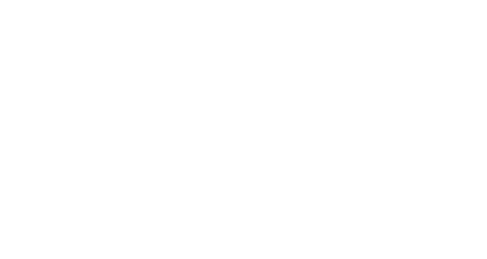 wolowo logo