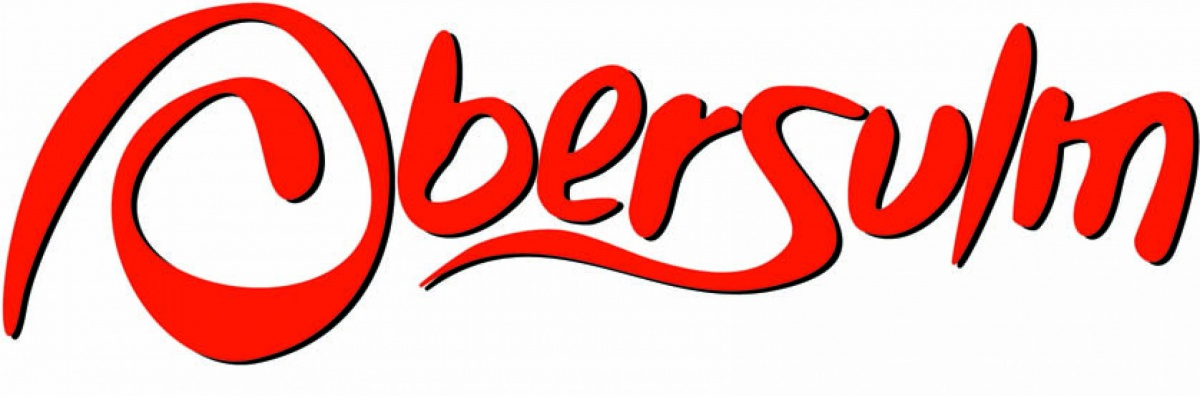wolowo logo