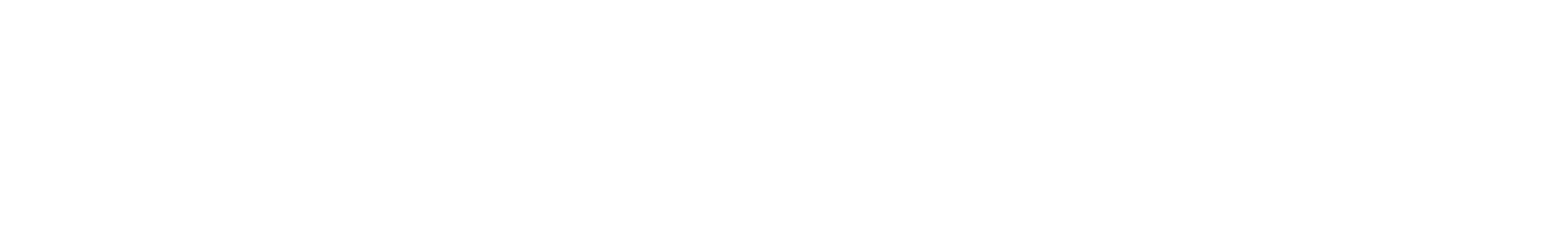 wolowo logo