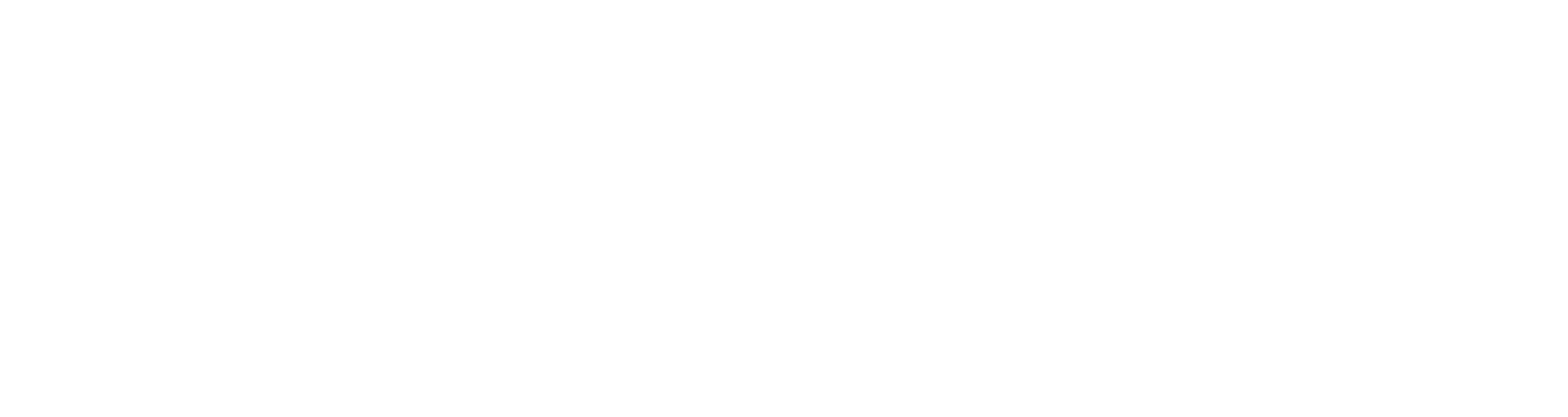 wolowo logo