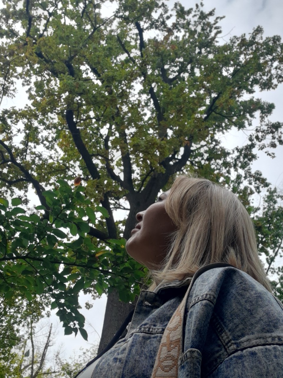 ОНАМНИНГ ДУНЁСИ