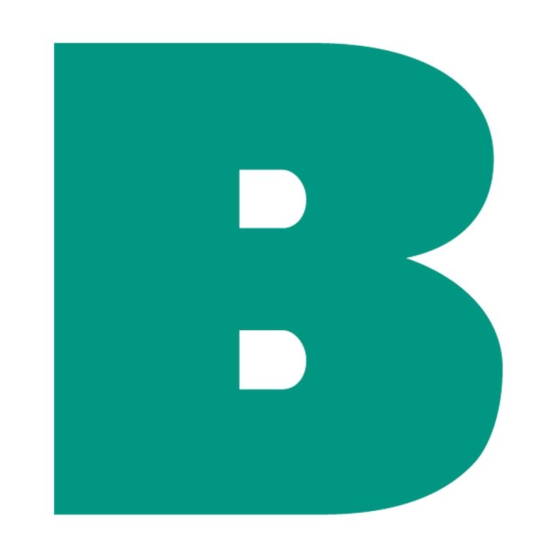 Badger Infrastructure Solutions