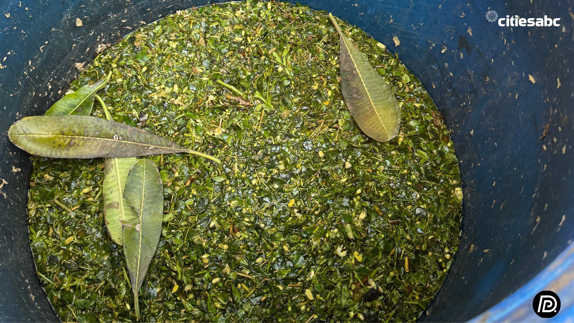 Bhoramdeo Temple (10).jpg