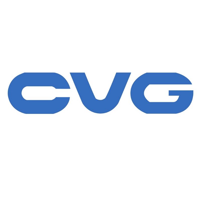 Commercial Vehicle Group (CVG)