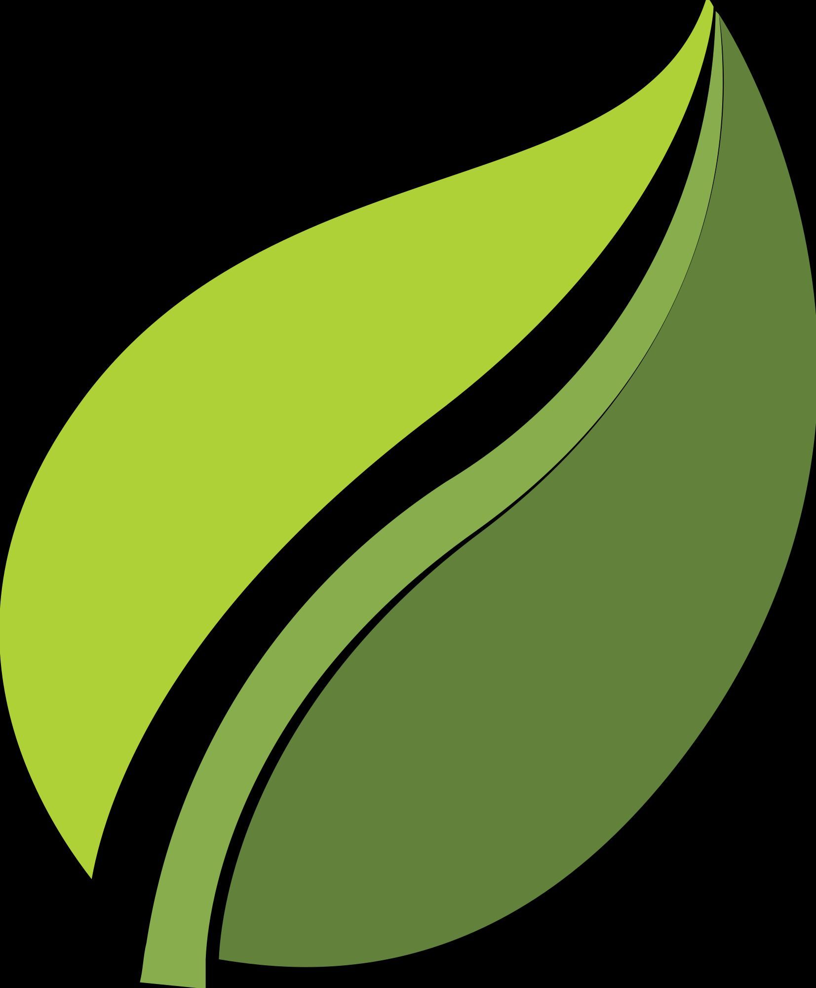 Devyani International