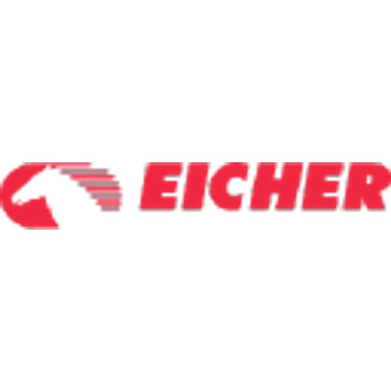 Eicher Motors