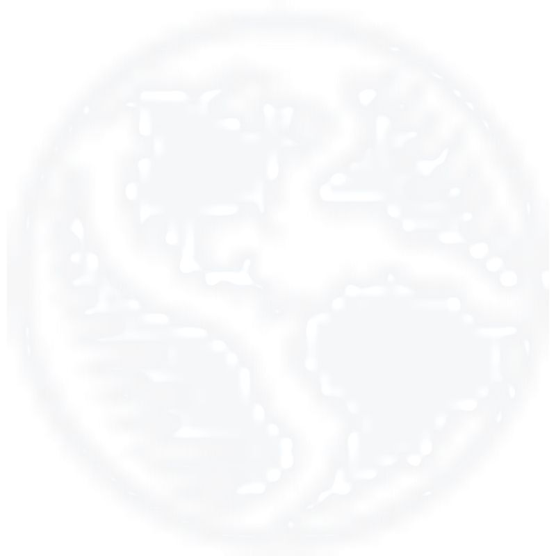 Flexible Solutions International