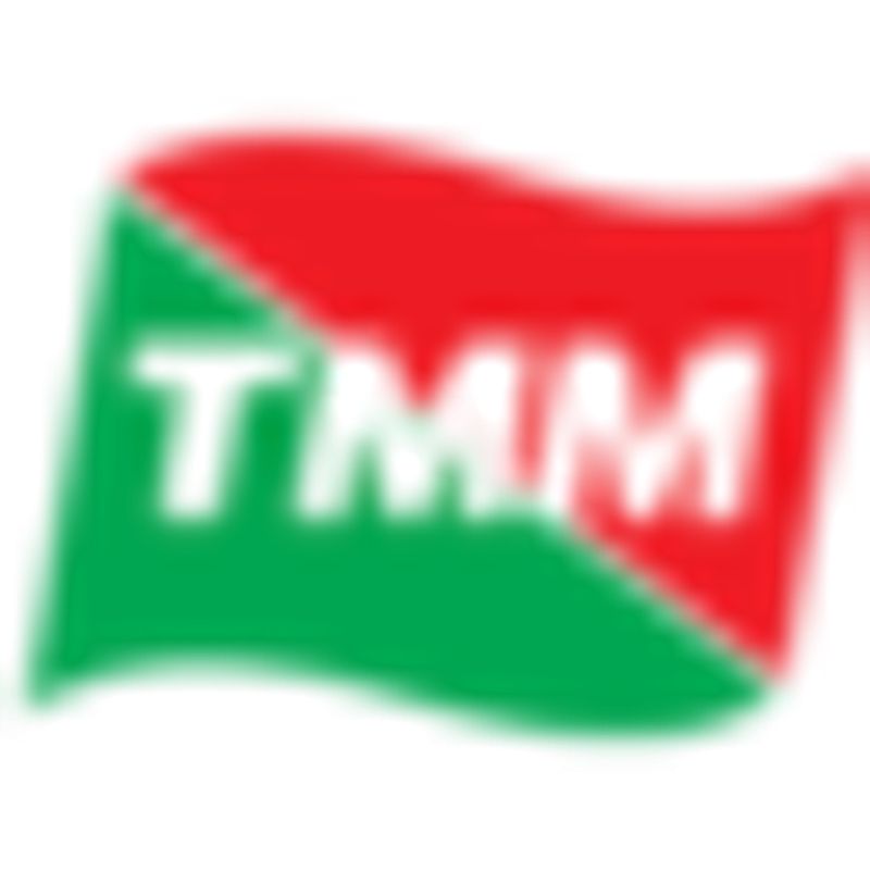 Grupo Tmm