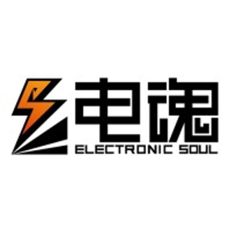 Hangzhou Electronic Soul Network Technology