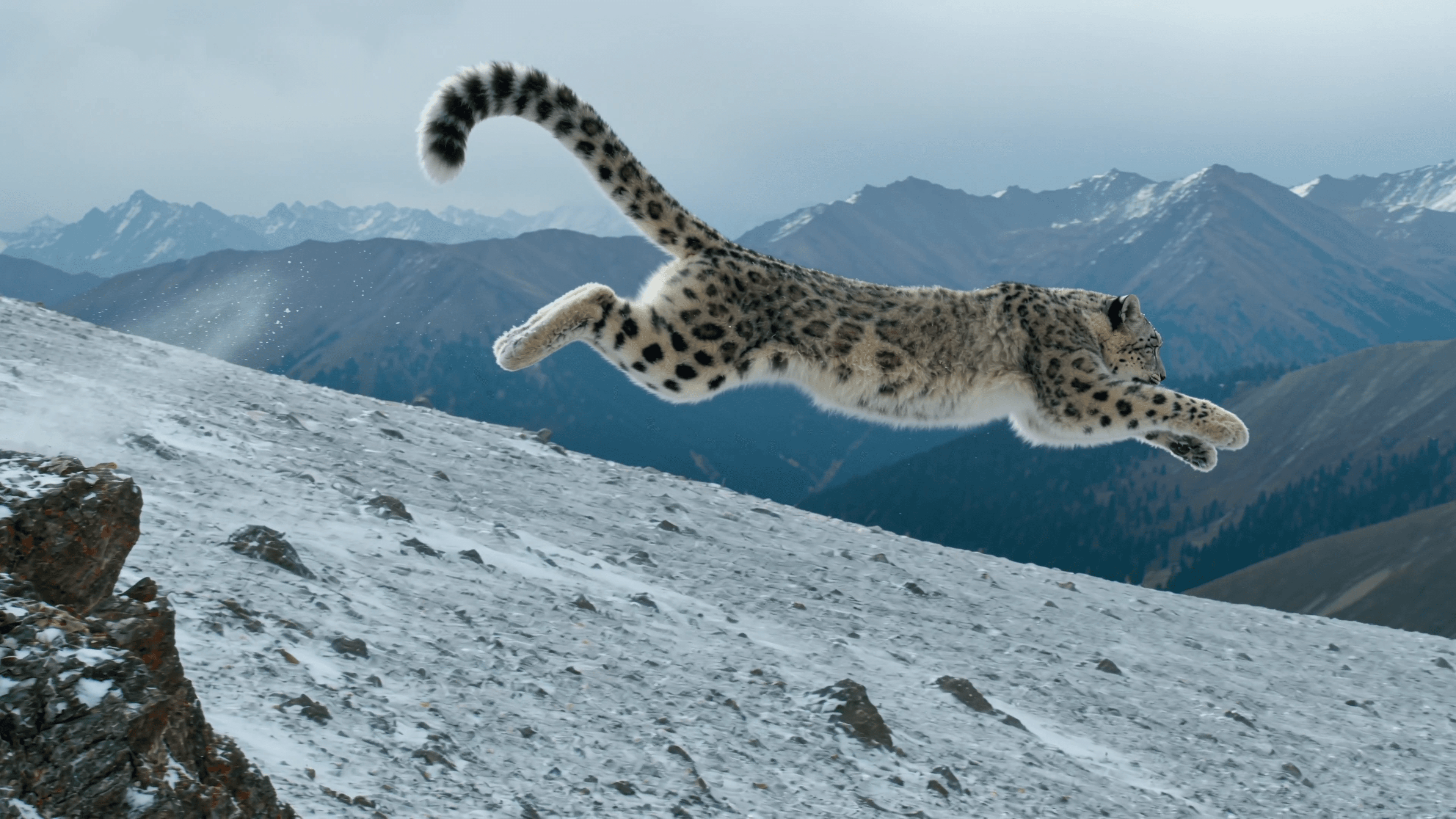 Snow leopard leaping across a snowy mountain slope during an AI video consistency test