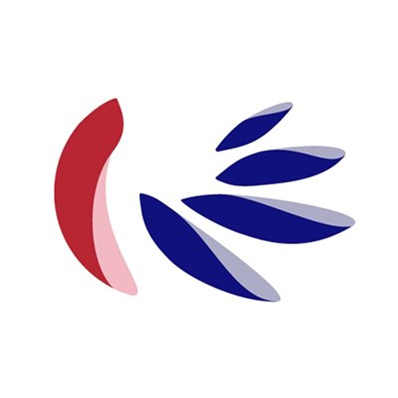 India Globalization Capital