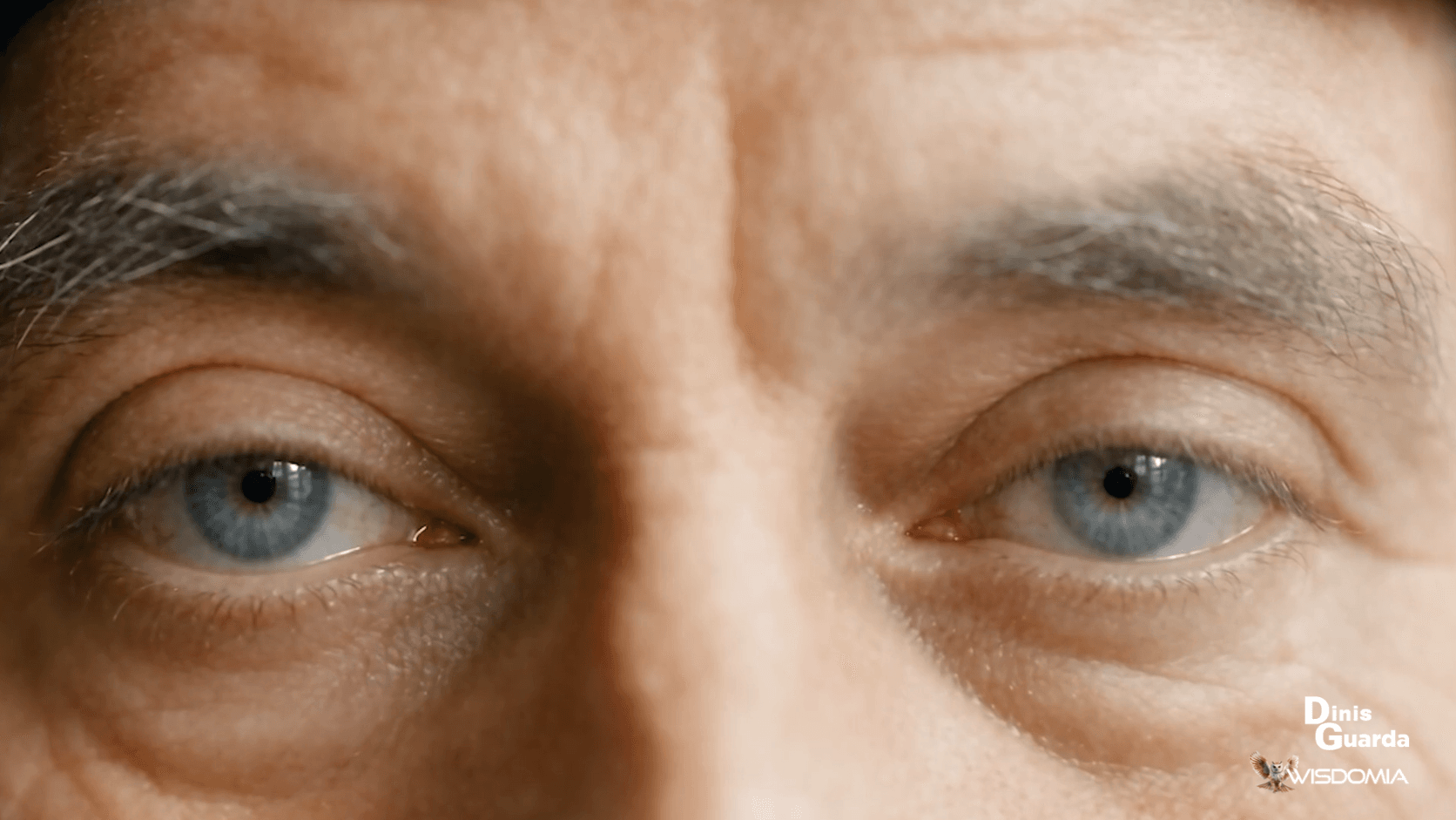 Leonardo eyes.png