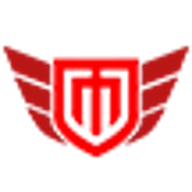 Mercury Metals India