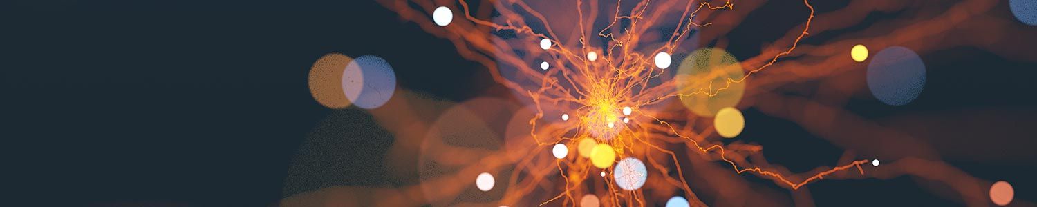 Offshoring Research Network