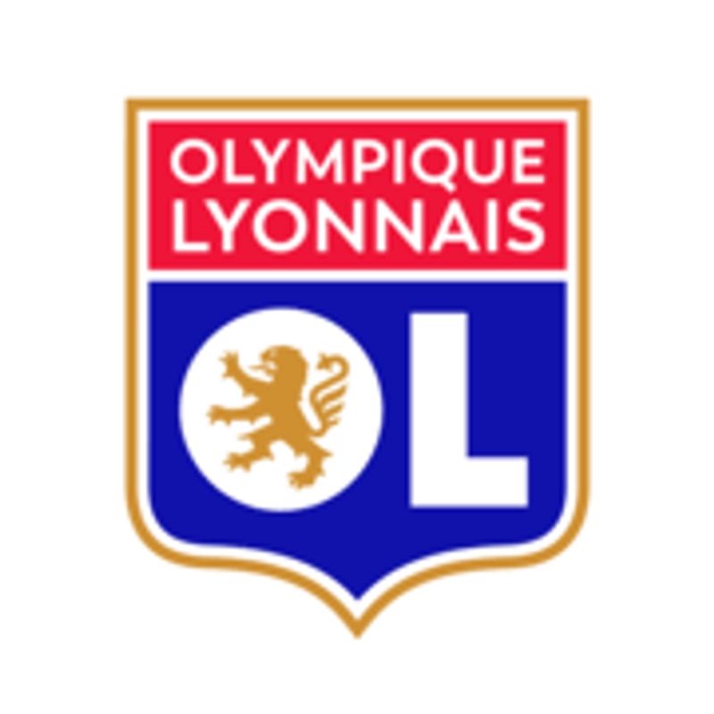 Olympique Lyonnais Groupe