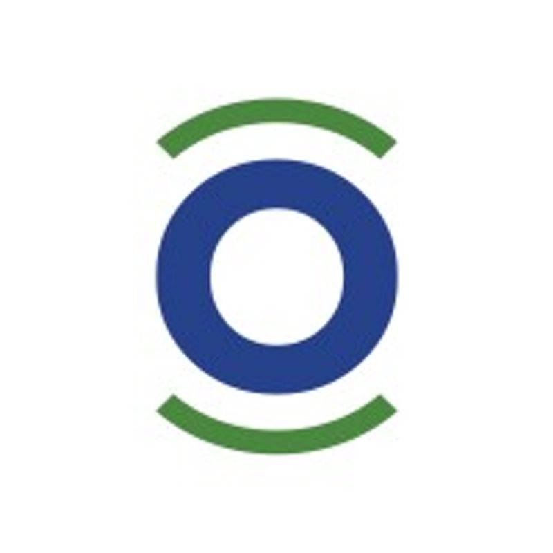 Pearl Global Industries Limited