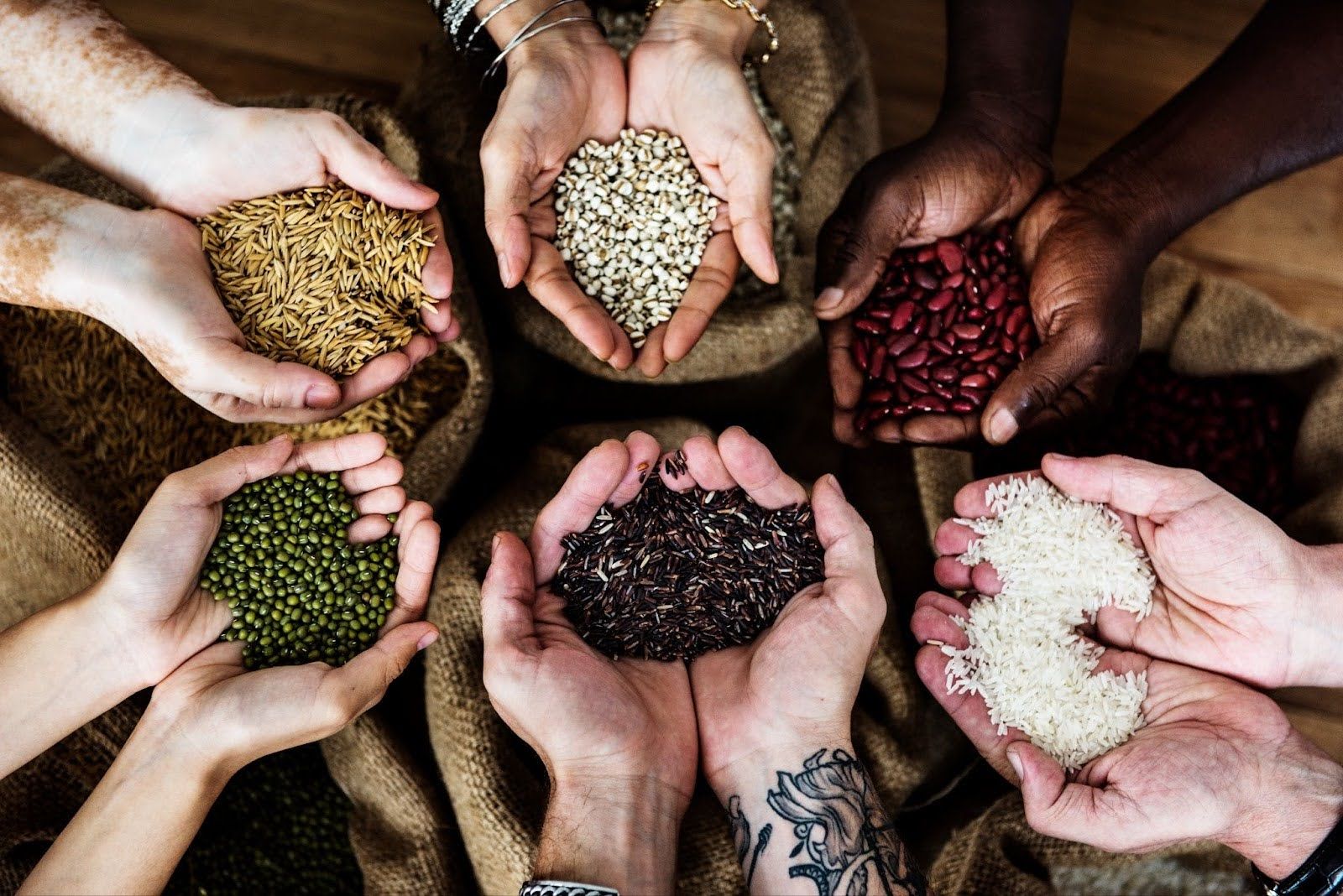 The Unsung Hero of Sustainable Agriculture: Farmer Emma's Innovative Methods