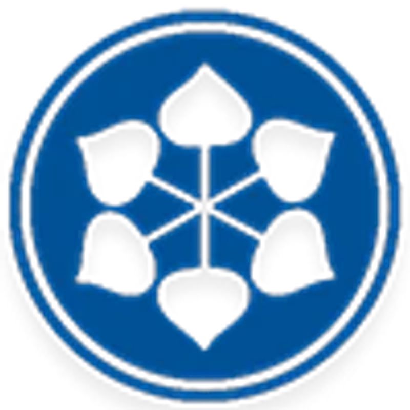 Shriram Pistons and Rings