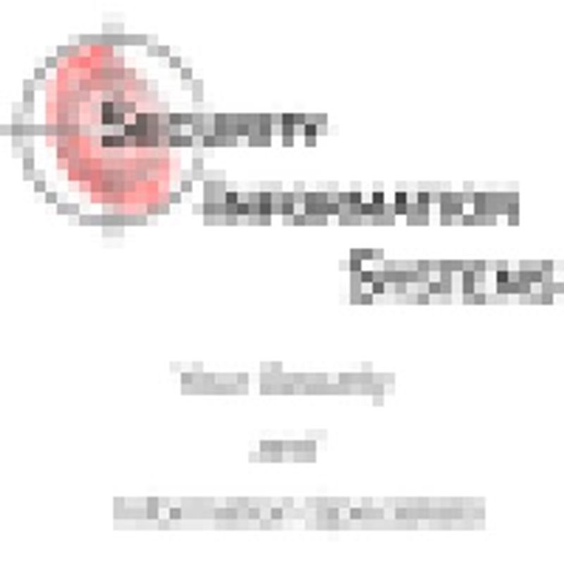 Silicon Integrated Systems