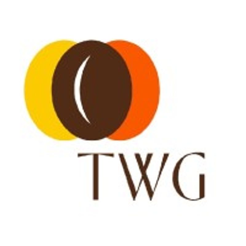 Tsit Wing International Holdings