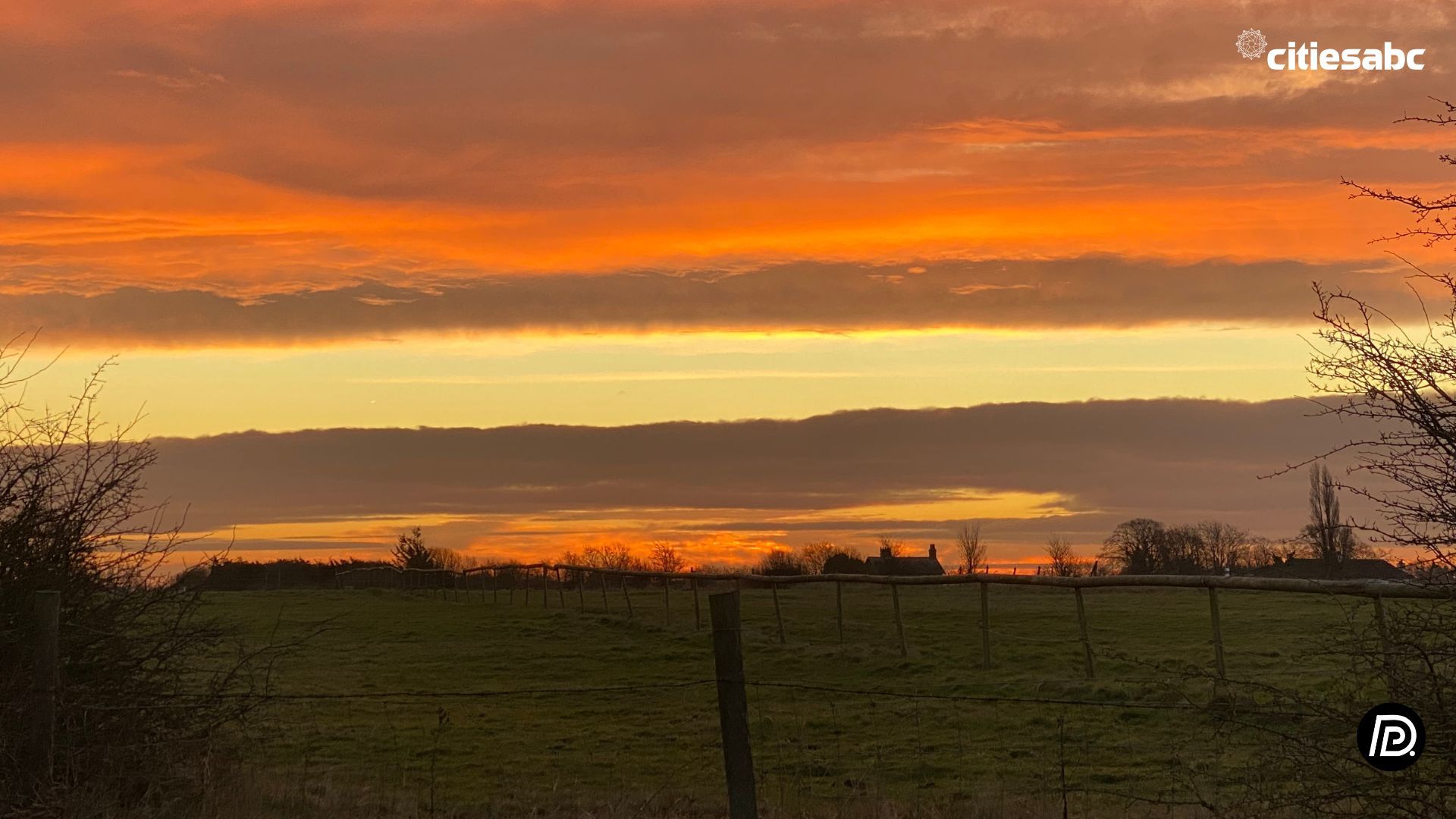 Untitled design (10).jpg