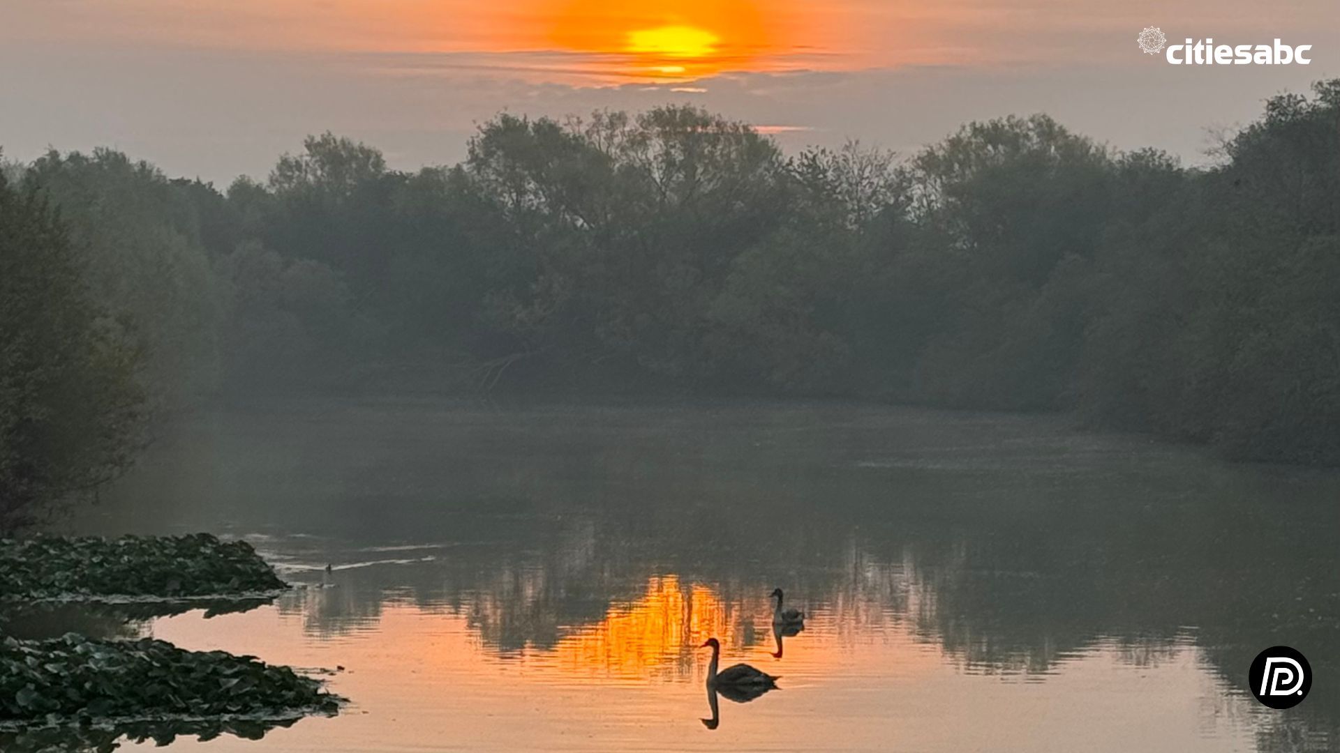 Untitled design (11).jpg