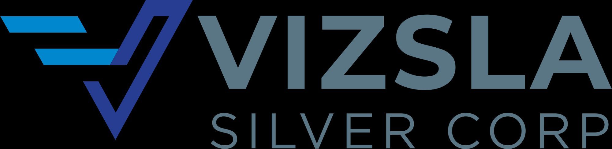 Vizsla Silver