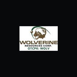 Wolverine Bank