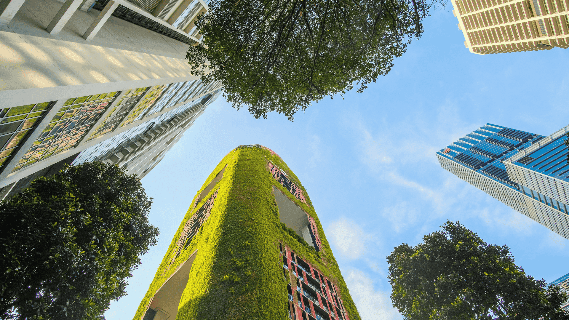 Your Guide to Building Sustainable Cities Through Smarter Chemical ...