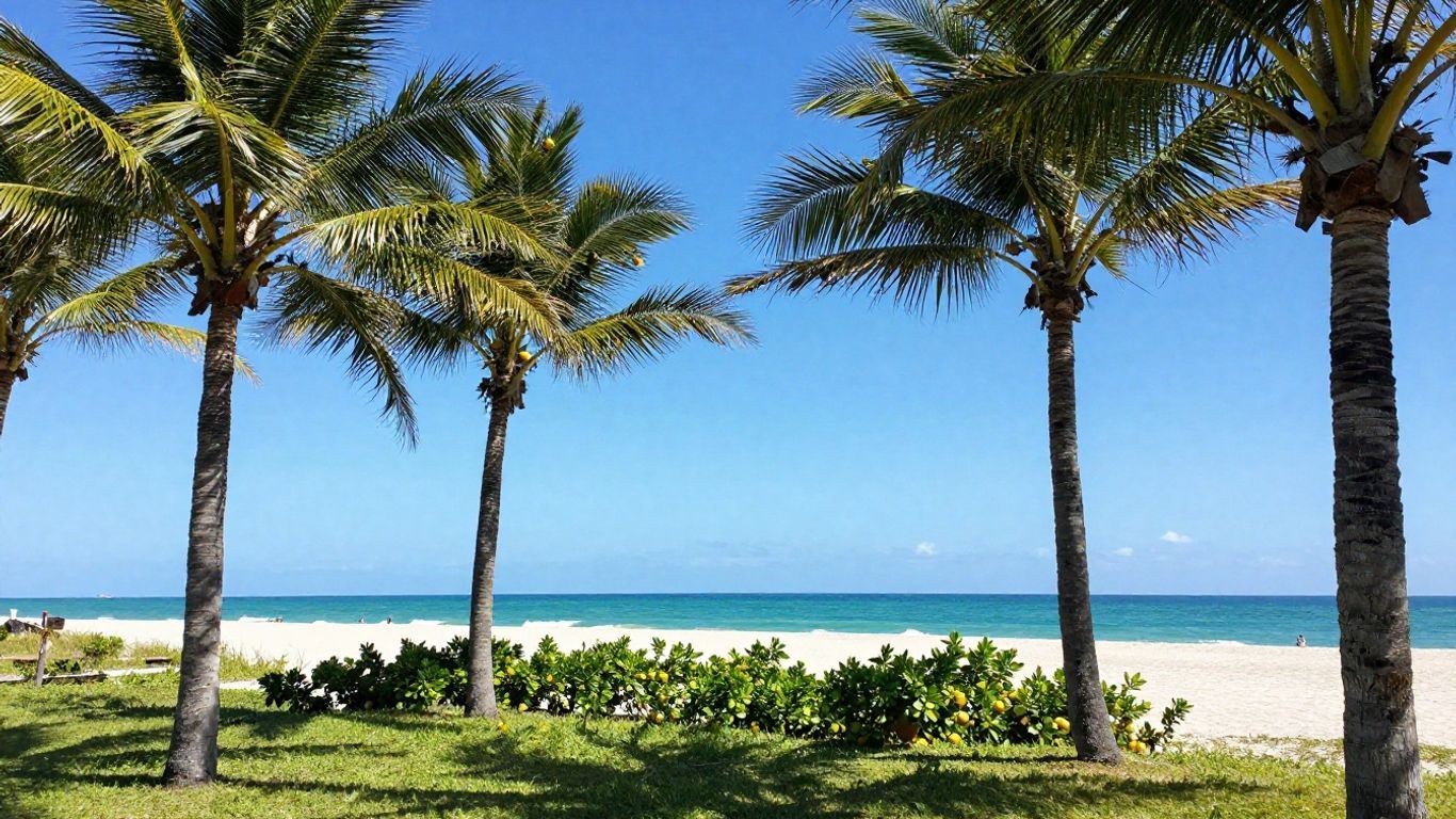 Florida landscape with palm trees, beach, and ocean.