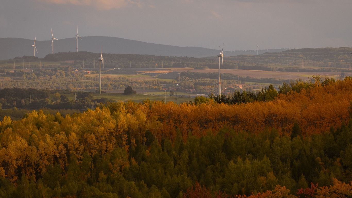 a landscape with trees and windmills