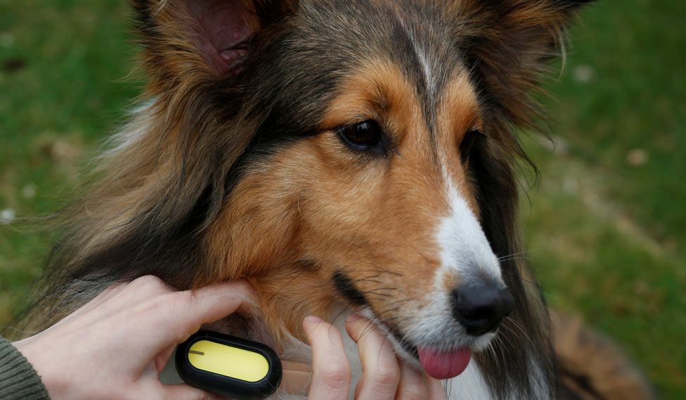 top wearable tech gadgets
