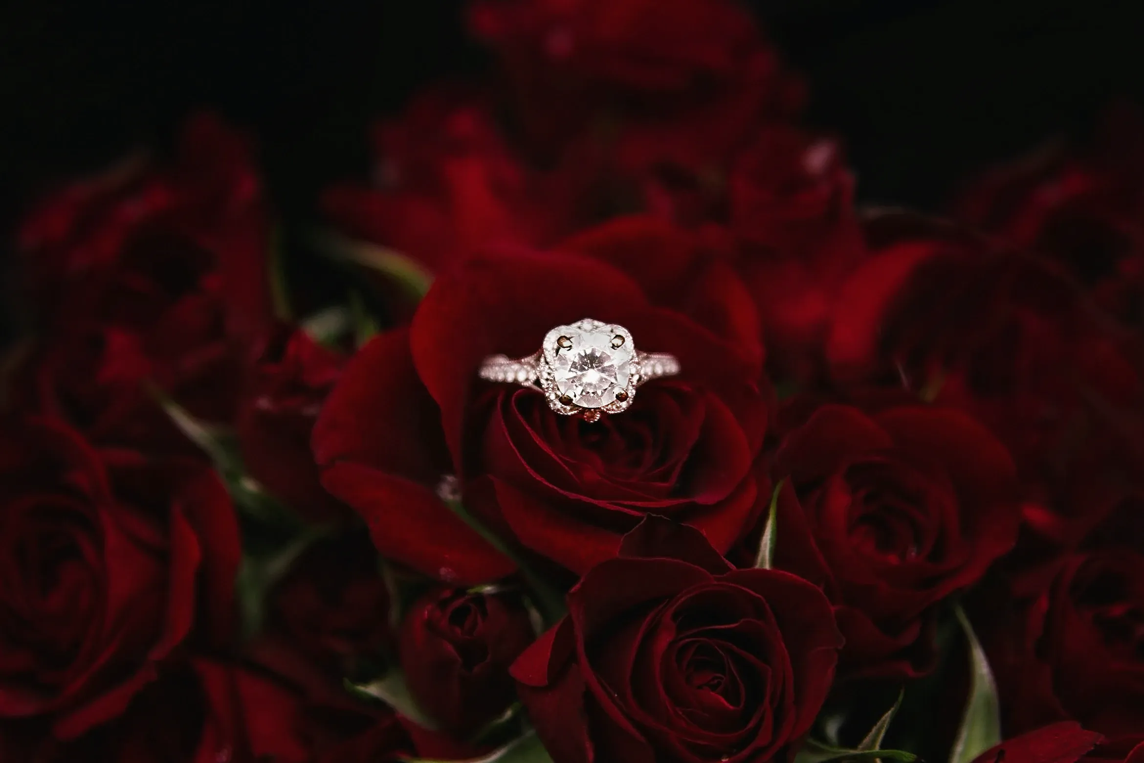 Engagement Ring Statistics That’ll Surely Surprise You
