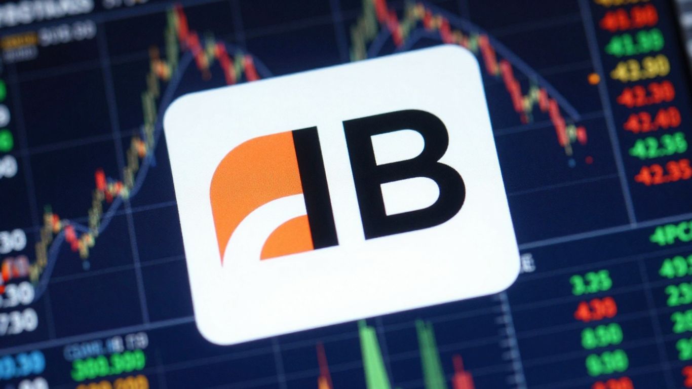 Interactive Brokers stock performance and outlook